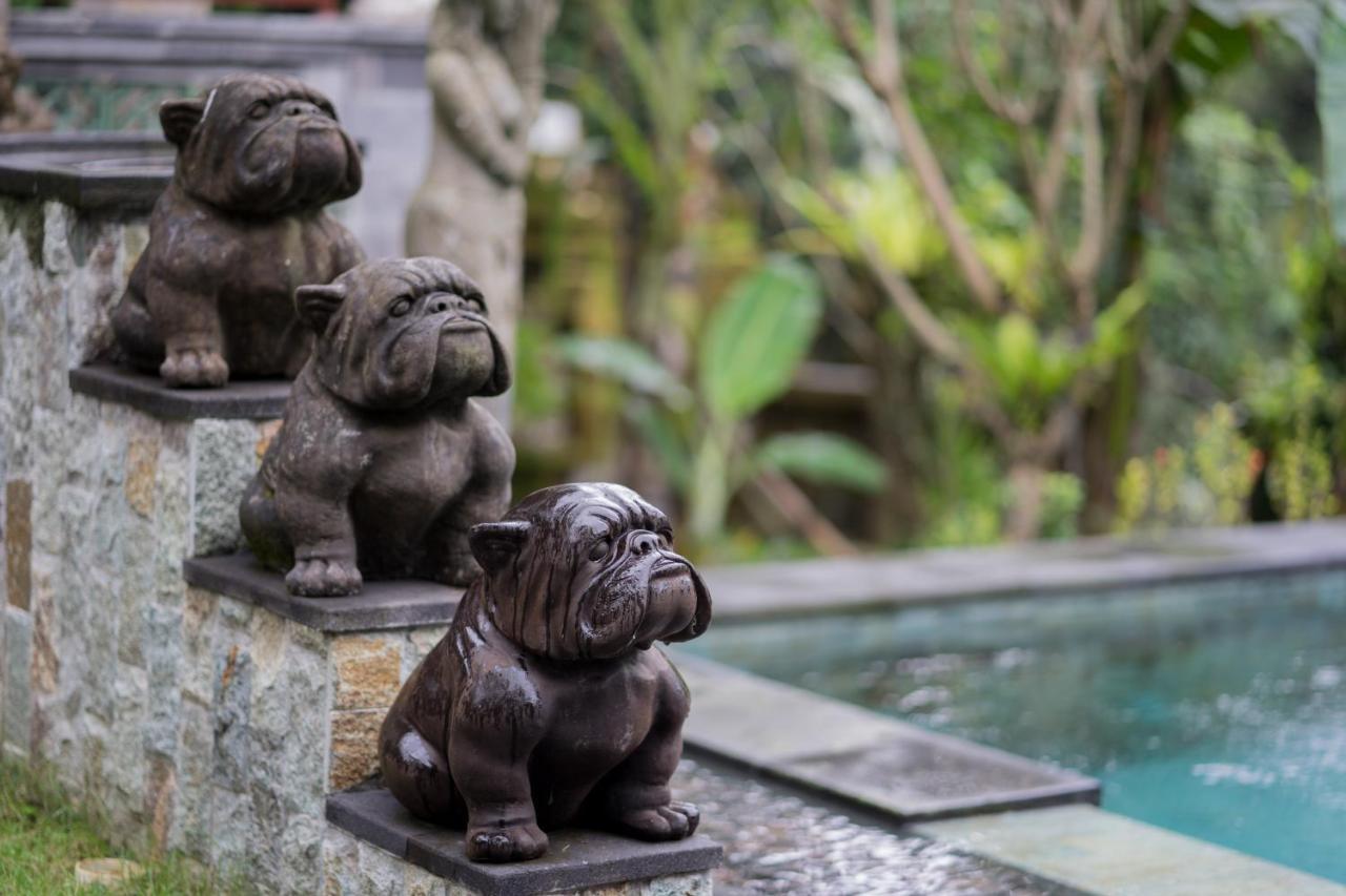 Ketut'S Place Cottage Ubud Ngoại thất bức ảnh